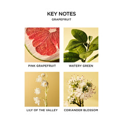 NEST New York ingredients label highlighting paraben-free, nourishing benefits