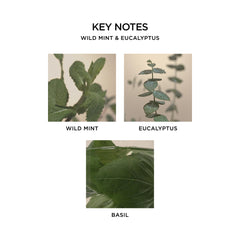 NEST New York ingredient label detail showing plant extracts and transparency benefit