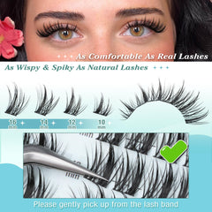 Newcally tray with clusters tweezers and glue for easy at-home application