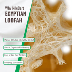 NileCart loofah texture close-up revealing fibrous surface for effective exfoliation
