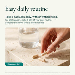 Noophoric ingredient label showing disclosed amounts and GMP facility claim