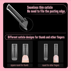 NOVO OVO side view of extra-thick free edge for stronger extensions