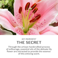 O BOTICARIO cream with Lily Body Oil showing scent-layering benefit