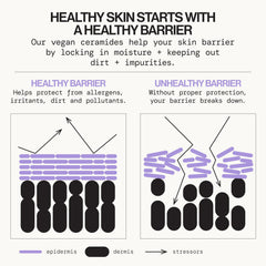 Pacifica niacinamide visual signaling improved texture and moisture retention