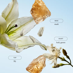 philosophy pure grace texture closeup silky lotion demonstrating smooth absorption