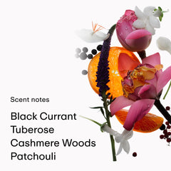 PHLUR ingredients depiction of mandarin, tuberose, and patchouli notes