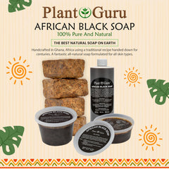 Plant Guru cut section revealing rich interior and nutrient-dense ingredients benefit
