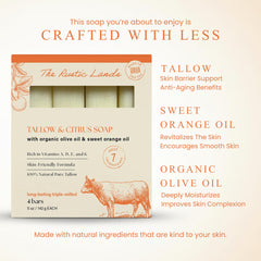 PROVENCE ESSENTIALS olive oil and beef tallow ingredients displayed for nourishment