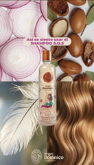 Ritual Botanico ingredient flatlay with argan oil and onion extract for nourishment