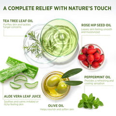 Roycederm with tea tree and eucalyptus ingredients illustrating natural botanicals