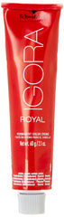 Schwarzkopf Igora Royal hair swatch on medium blonde showing vibrant copper result