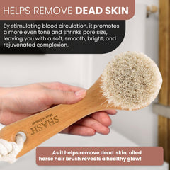 SHASH brush in hand for scale demonstrating easy handling and precise pressure