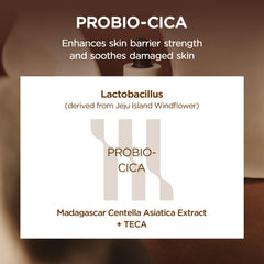 SKIN1004 smooth ampoule texture closeup showing fast absorption