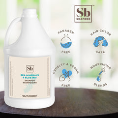 Soapbox gallon beside standard bottle showing scale and refill advantage