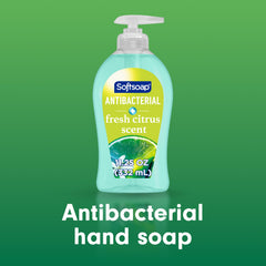 Softsoap pump-detail close-up demonstrating easy dispensing and control