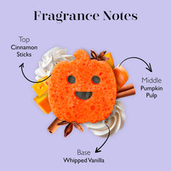 SPONGELLÉ sponge held in hand to show size and travel-friendly convenience
