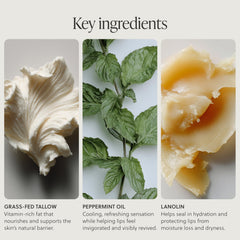 TALOVA label close-up listing natural ingredients and clean formulation benefit