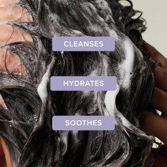 Tea Tree back label details and ingredients for informed product use