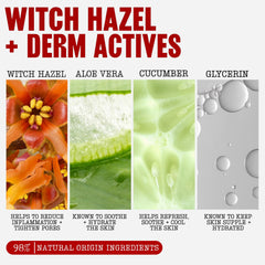 Thayers toner droplet on hand highlighting quick absorption benefit