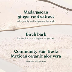 The Body Shop ginger shampoo ingredient label highlighting ginger extract benefit