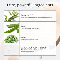 Ursa Major ingredients shot with kaolin and baking soda showing odor-absorbing benefit
