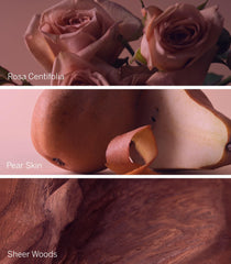 Victoria's Secret Bare Rose next to common items showing 3.4 fl oz size and portability