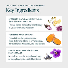 VIRTUE ColorKick shampoo in hand ready for use emphasizing easy application benefit