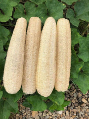 YEMTAL front packaging showing four natural loofahs, eco-friendly convenience