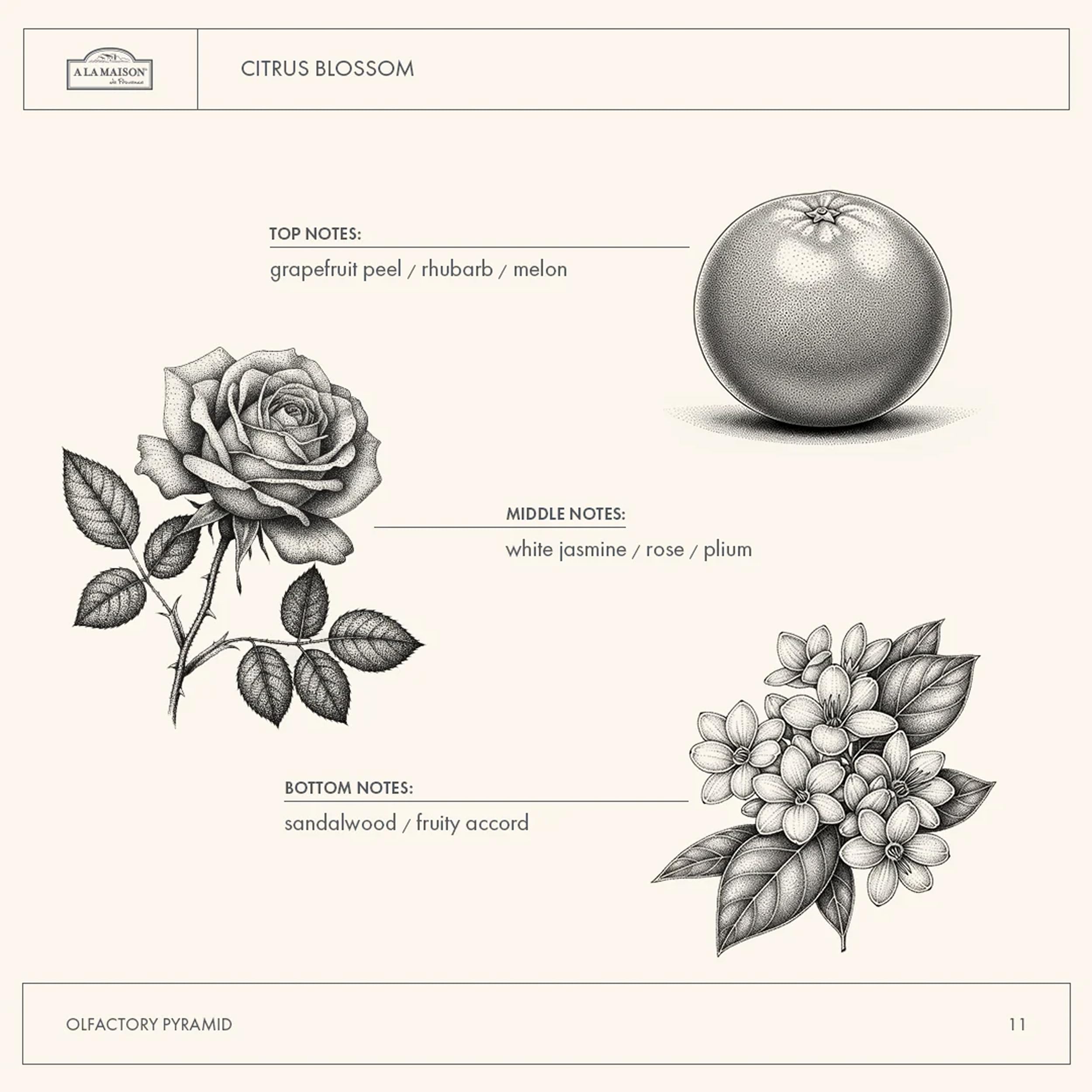 A LA MAISON ingredient label closeup highlighting plant-based formula and transparency benefit