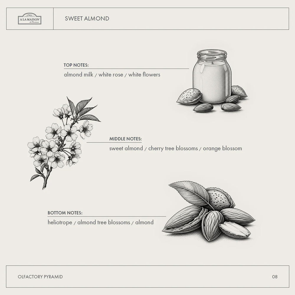 A LA MAISON 8 oz bottle size comparison for easy portability and home storage
