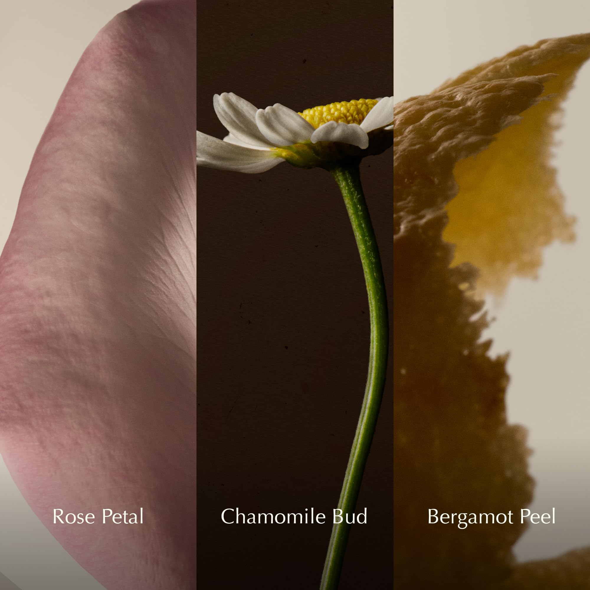 Bergamot peel detail illustrating Aesop hydrosol fresh citrus note and uplifting scent