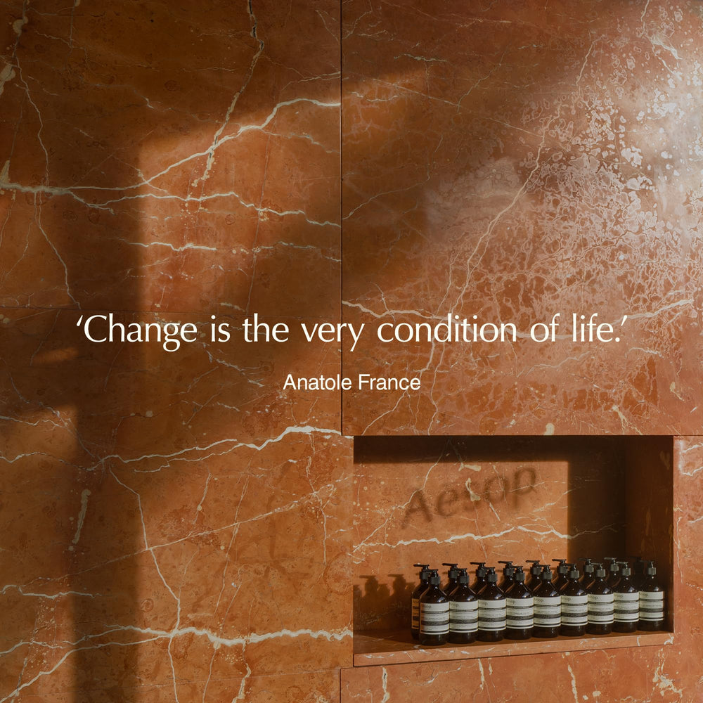 Aesop rosemary and lactic acid ingredients laid out to show formulation benefits