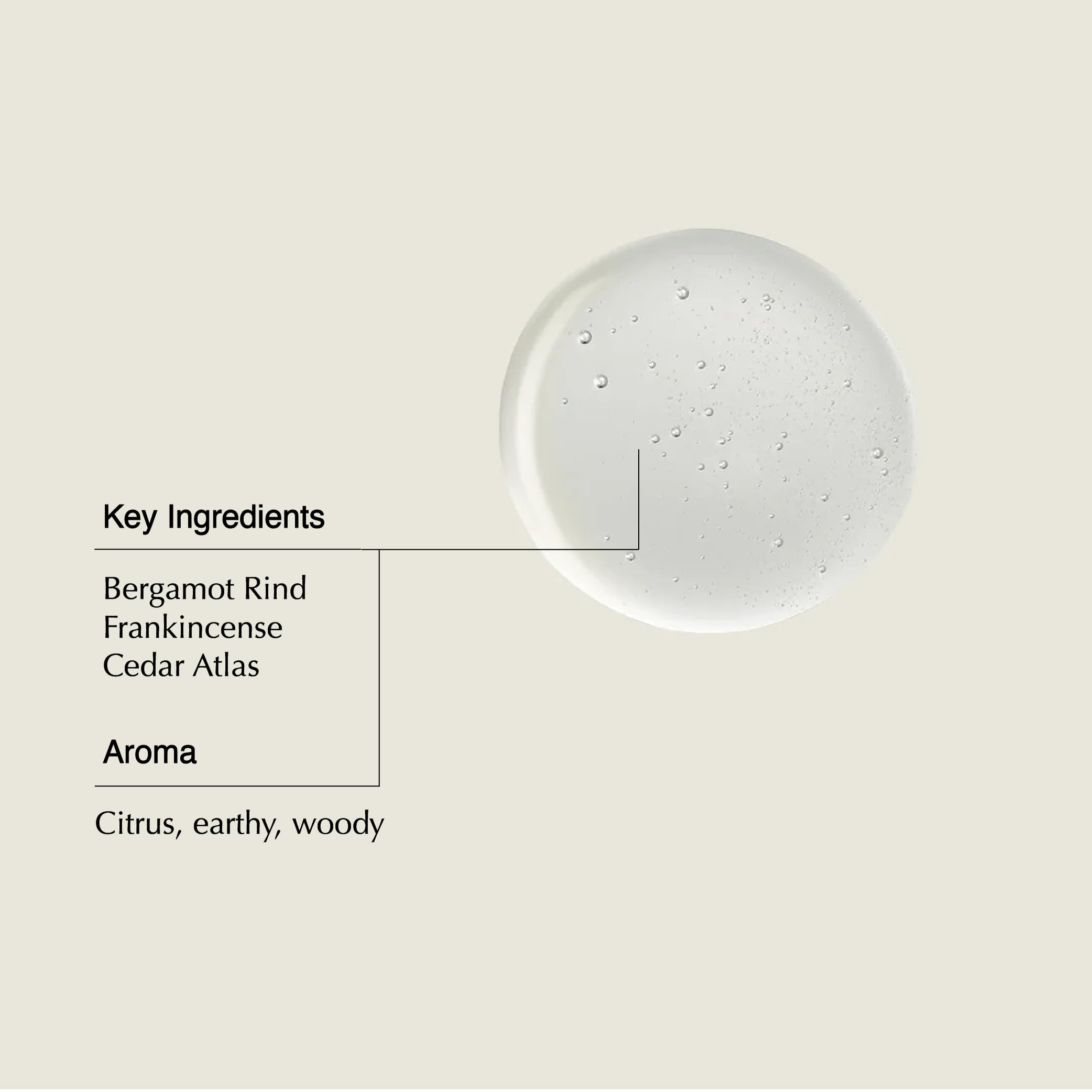 Aesop shampoo lather demonstrating gentle foam and easy rinsing