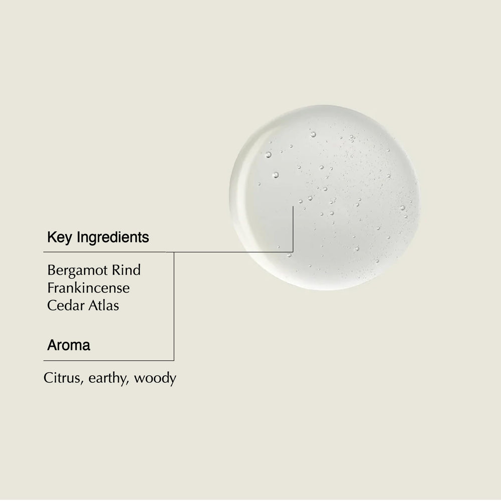 Aesop shampoo lather demonstrating gentle foam and easy rinsing