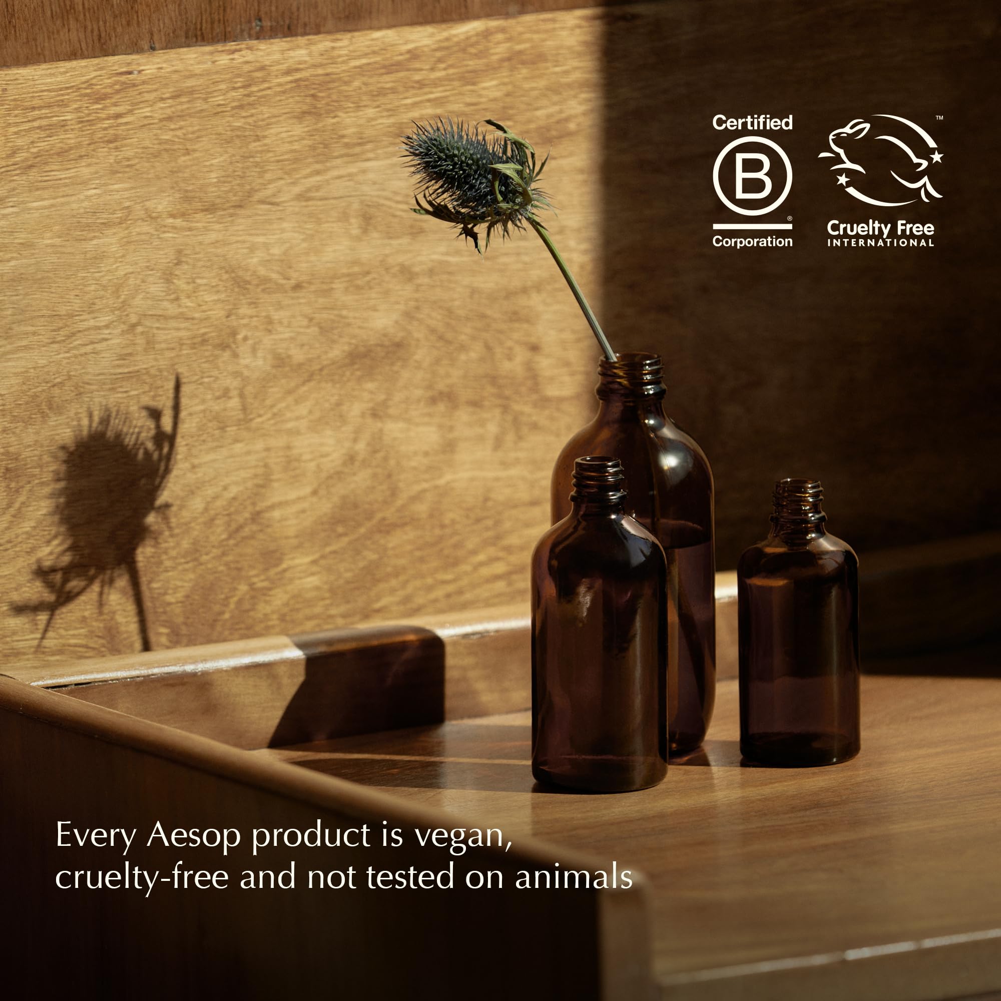 Aesop volumizing shampoo lather on wet hair showing lift and movement