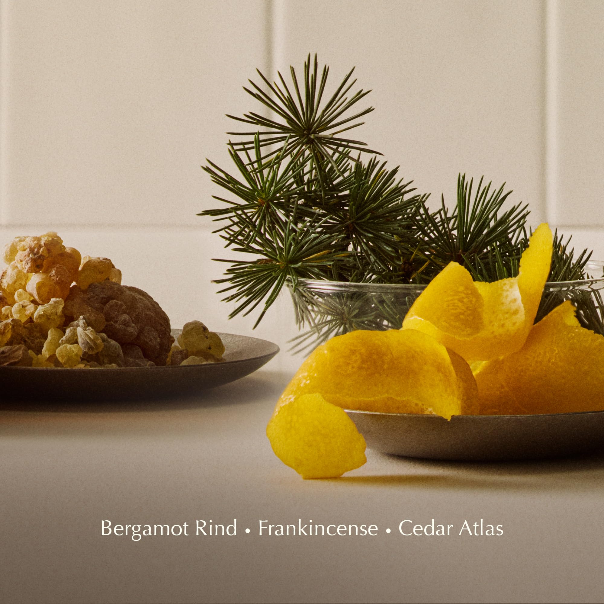 Aesop volumizing shampoo ingredients label highlighting botanical extracts