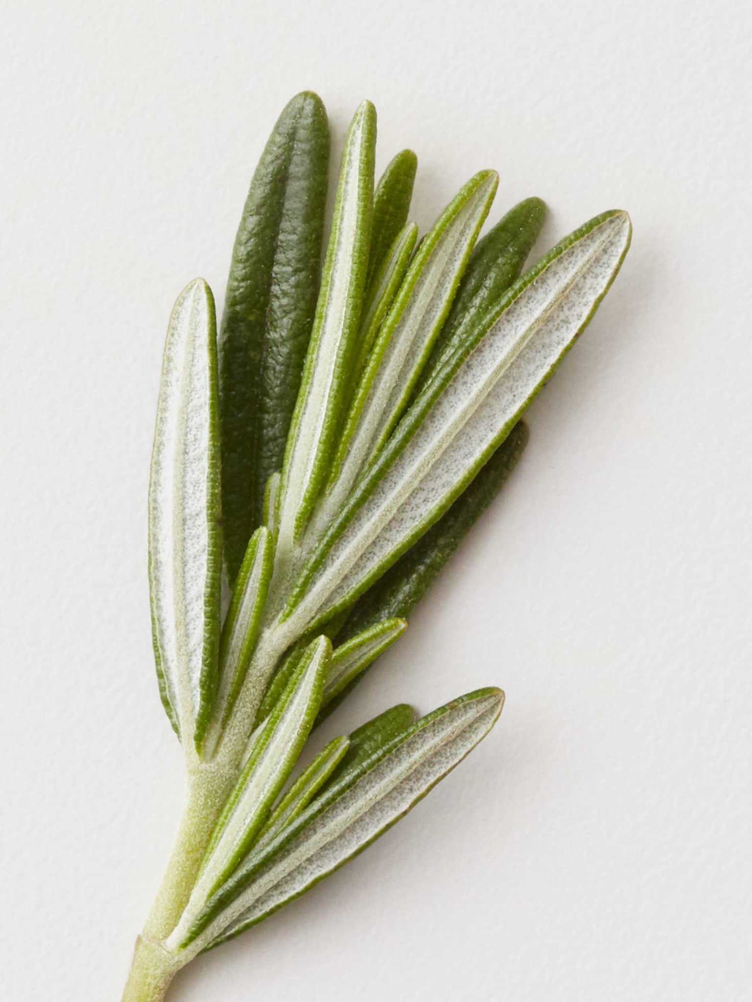 AG Care Stucco label and ingredients panel highlighting vegan, silicone-free benefits