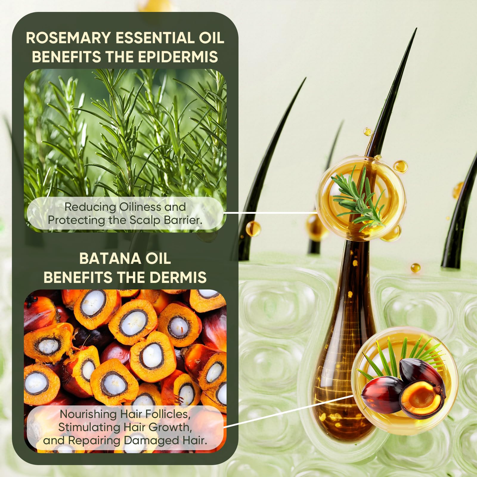 Agodafoo ingredients label closeup listing batana and rosemary for transparent sourcing