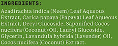 Alaffia foam lather on hand demonstrating gentle cleansing benefit