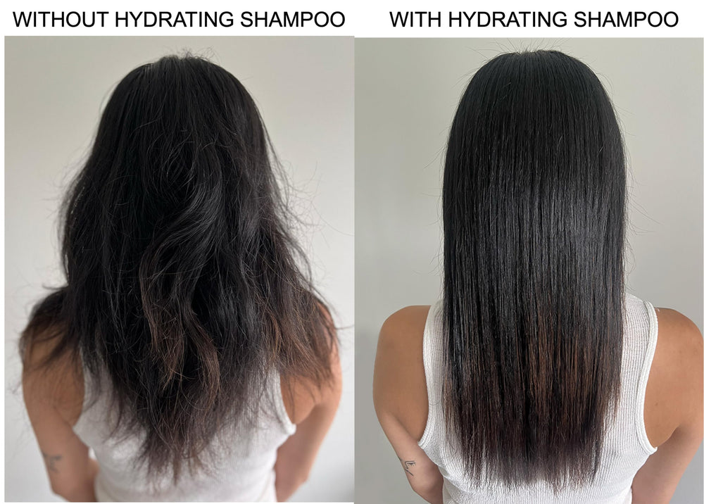 Alcôve argan oil and mango extract ingredients showing natural nourishment