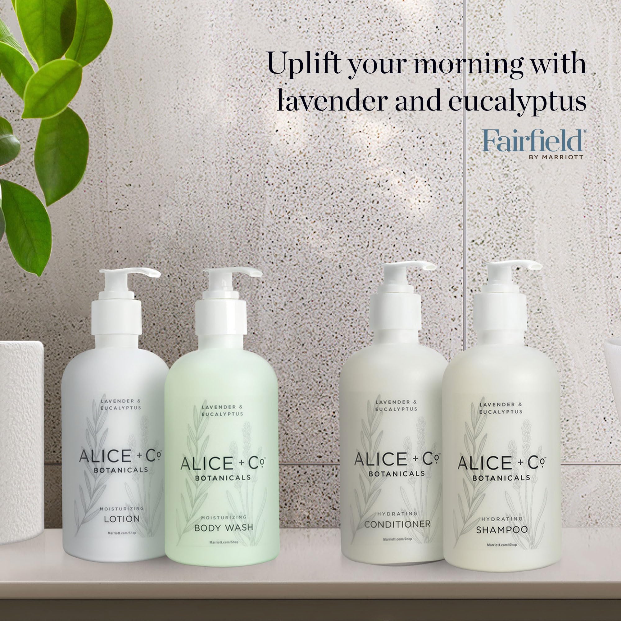 Alice + Co. lavender and eucalyptus ingredients flatlay, communicating natural scent profile