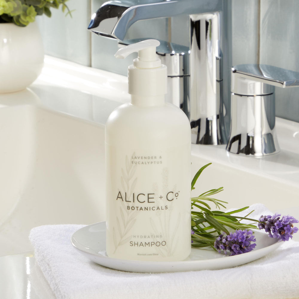 Alice + Co. 8.5oz bottle beside travel items for size and portability reference