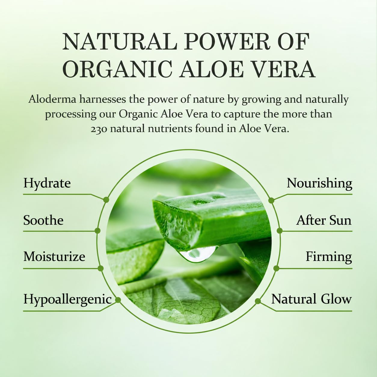 Aloderma applied to forearm calming sun-exposed skin quickly