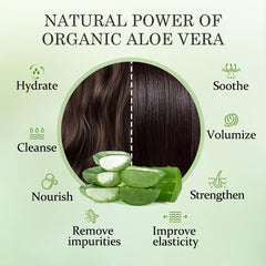 Aloderma cream texture on palm highlighting rich, hydrating consistency