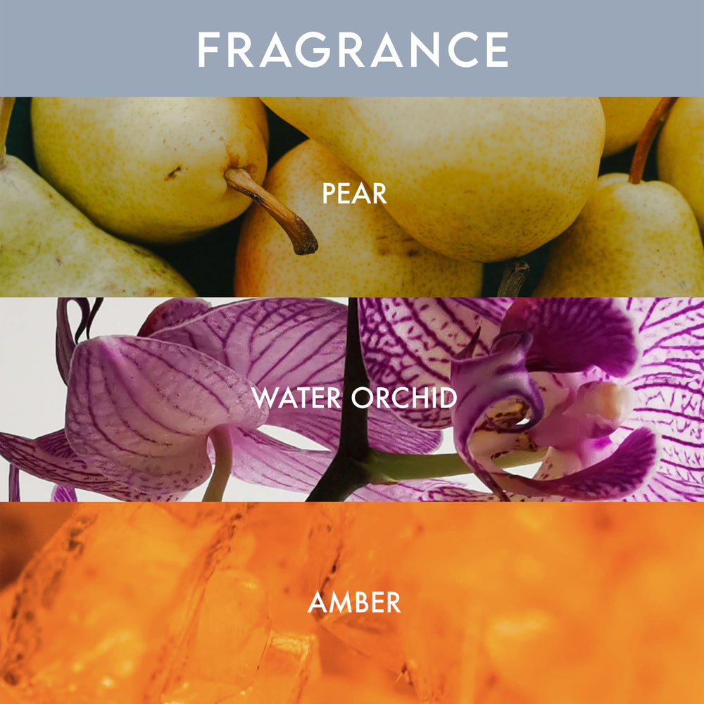 ALURAM bottle beside avocado baobab and coconut illustrating nourishing oils