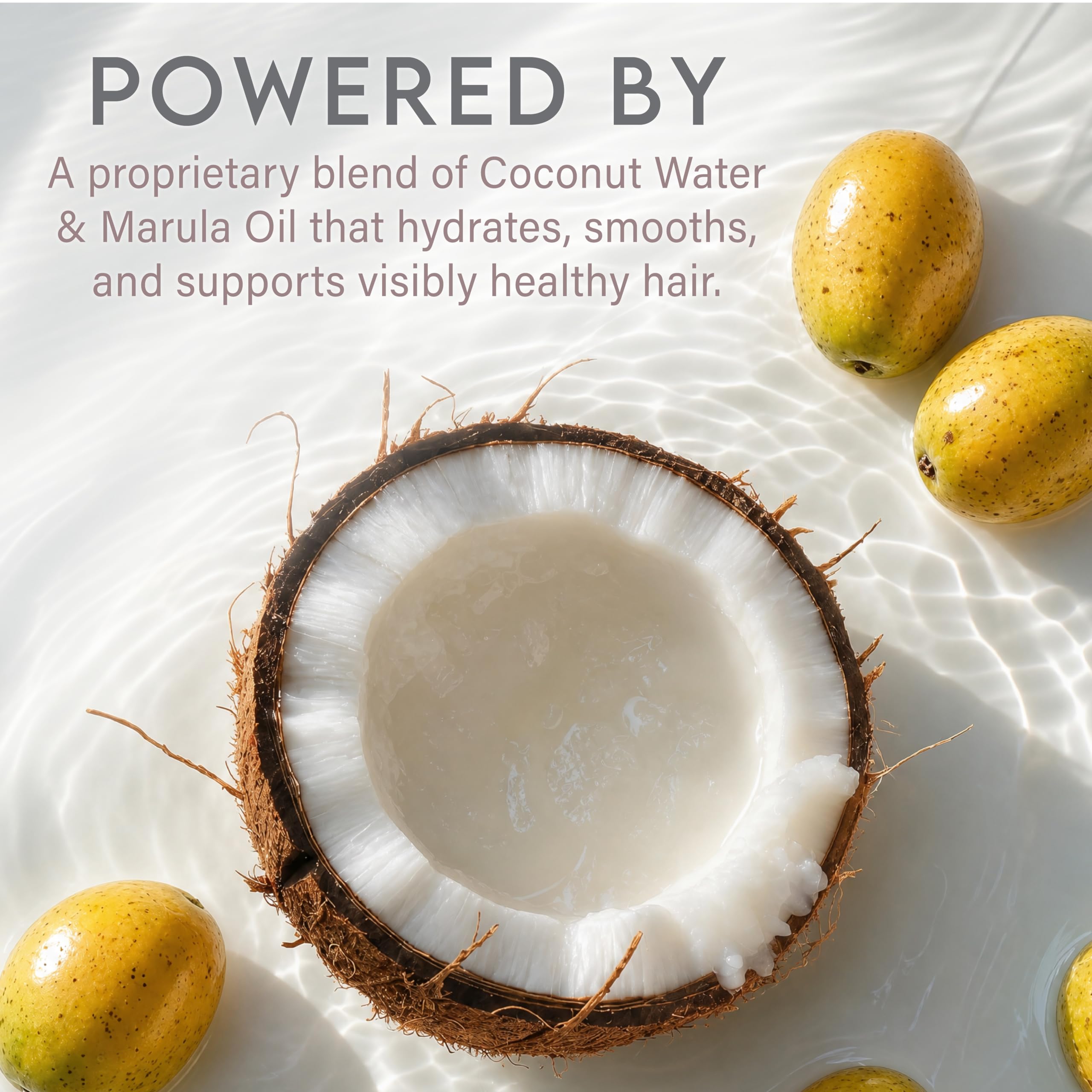 ALURAM ingredient display with marula oil and squalane showing nourishing sources