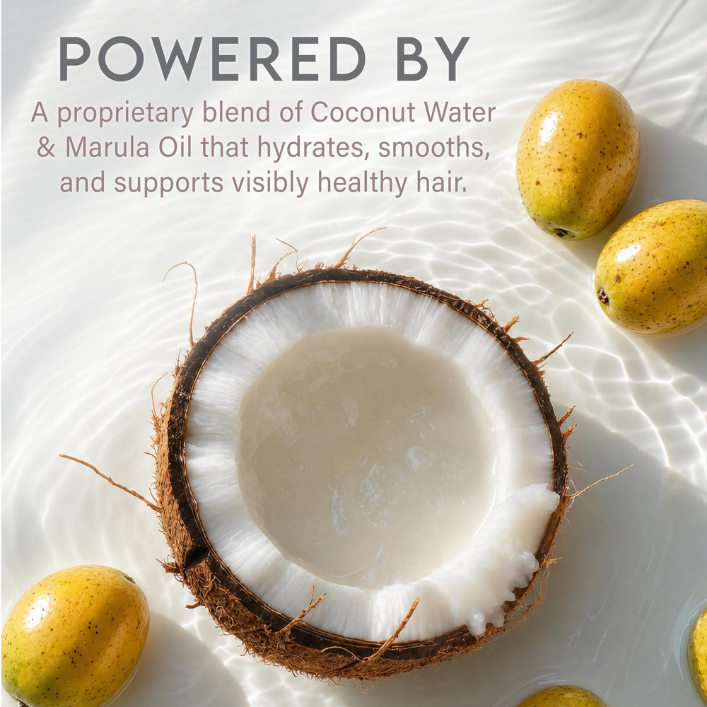 ALURAM applied to damp roots for blow-dry lift and control