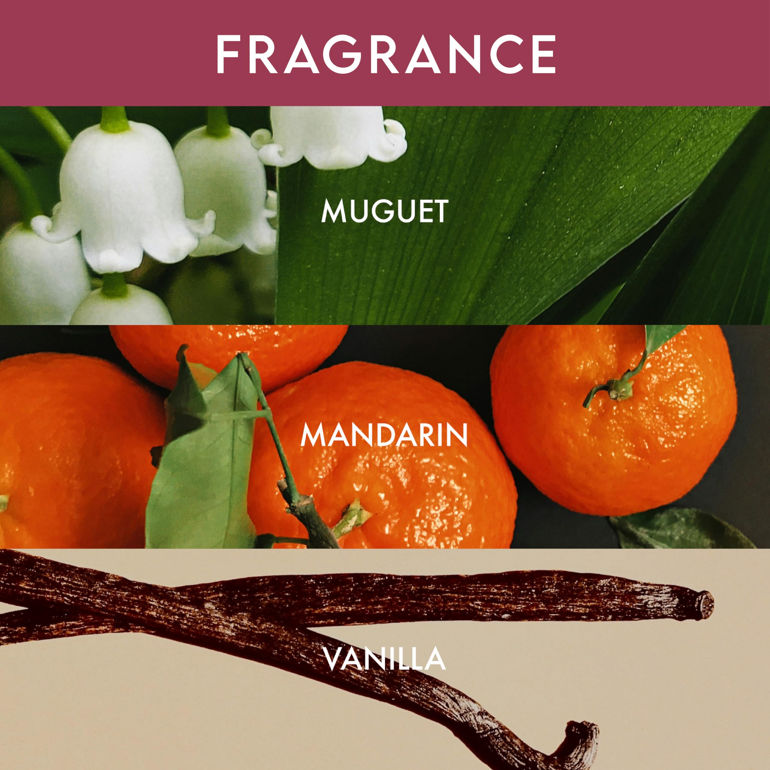 ALURAM botanical ingredients flatlay showing rice protein and rose extract benefits
