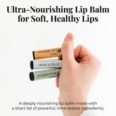 Amallow vanilla bean stick close-up highlighting smooth texture and hydration