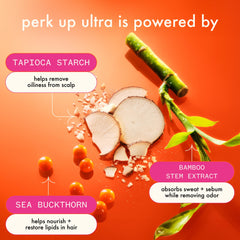 amika fine dry powder texture captured mid-spray for fast oil absorption